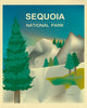 Sequoia National Park, California